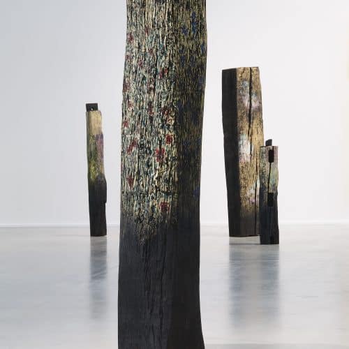 galerie d'images : diapositive 3 sur 4