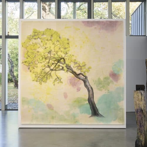 galerie d'images : diapositive 4 sur 4