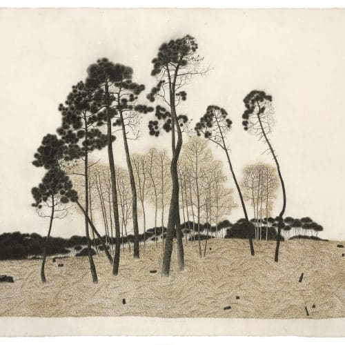 galerie d'images : diapositive 1 sur 4