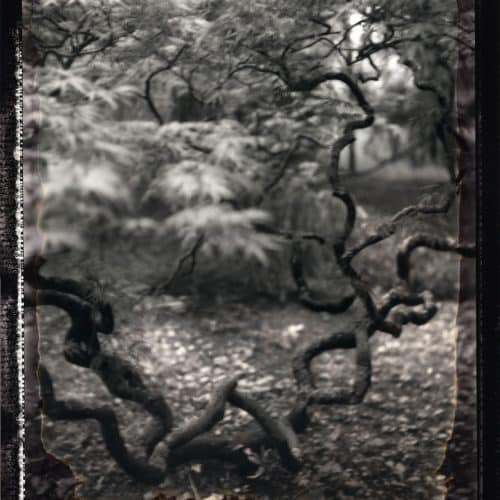 galerie d'images : diapositive 6 sur 9